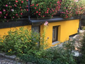 Bild 6: Willkommen zum Wohlfühlen in der Sächsischen Schweiz