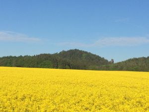 Bild 33: Willkommen zum Wohlfühlen in der Sächsischen Schweiz