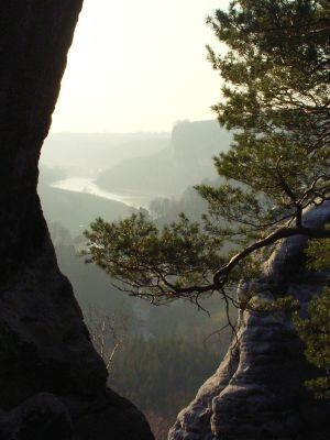 Blick vom Gamrig ins Elbtal - Bild 12: Ferienwohnung in Bad Schandau Elbsandsteingebirge