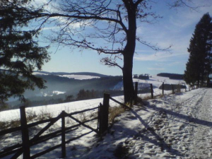 Winterliches Diemeltal in Richtung Usseln aufgenommen. - Bild 3: Ferienhof Schmiddes, Fewo Schwalbennest